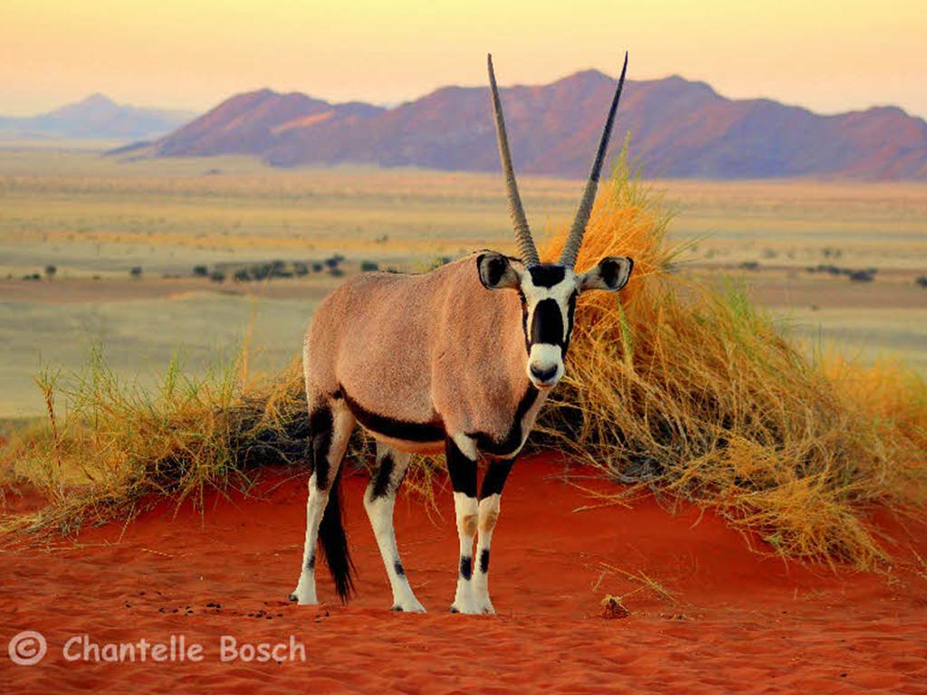 Gondwana Namib Desert Lodge Lillooet ภายนอก รูปภาพ